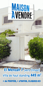 banner_maison_a_vendre_he_300x600