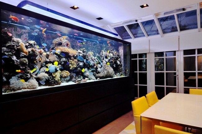 aquarium-integrer-salon-idées-salle-a-manger