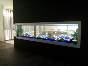 Aquarium-Decoration-design