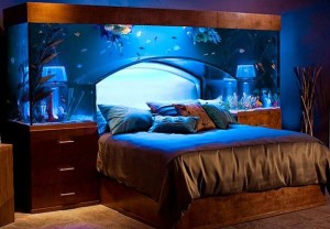 Aquarium-Decoration-design-chambre