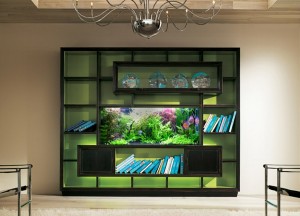 Aquarium-Decoration-rangement-design